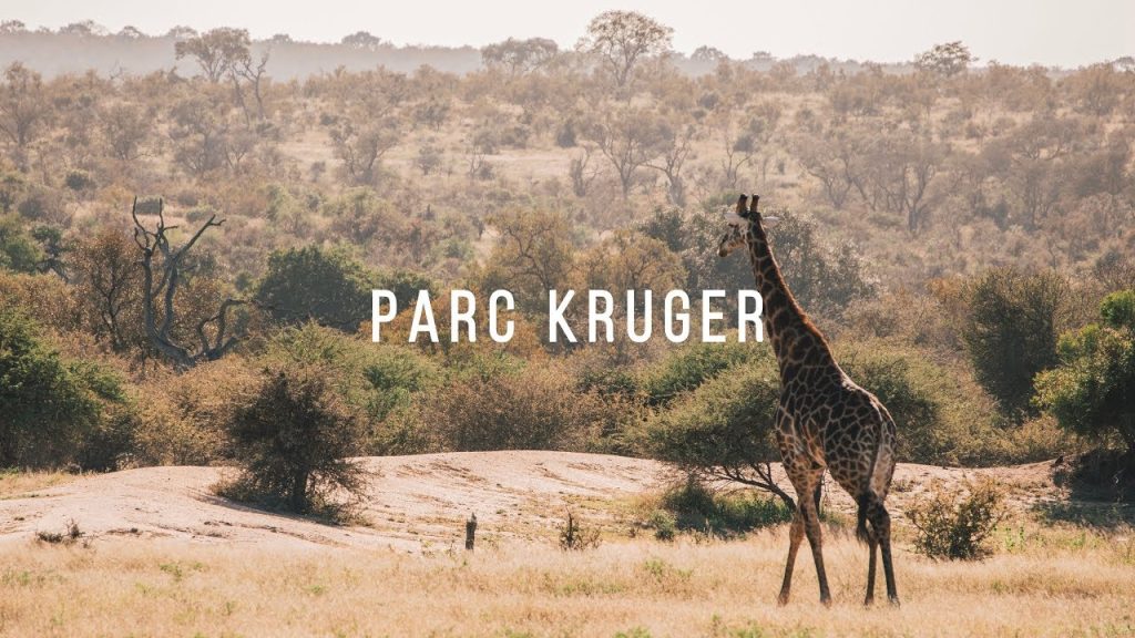 parcul national kruger, africa de sud