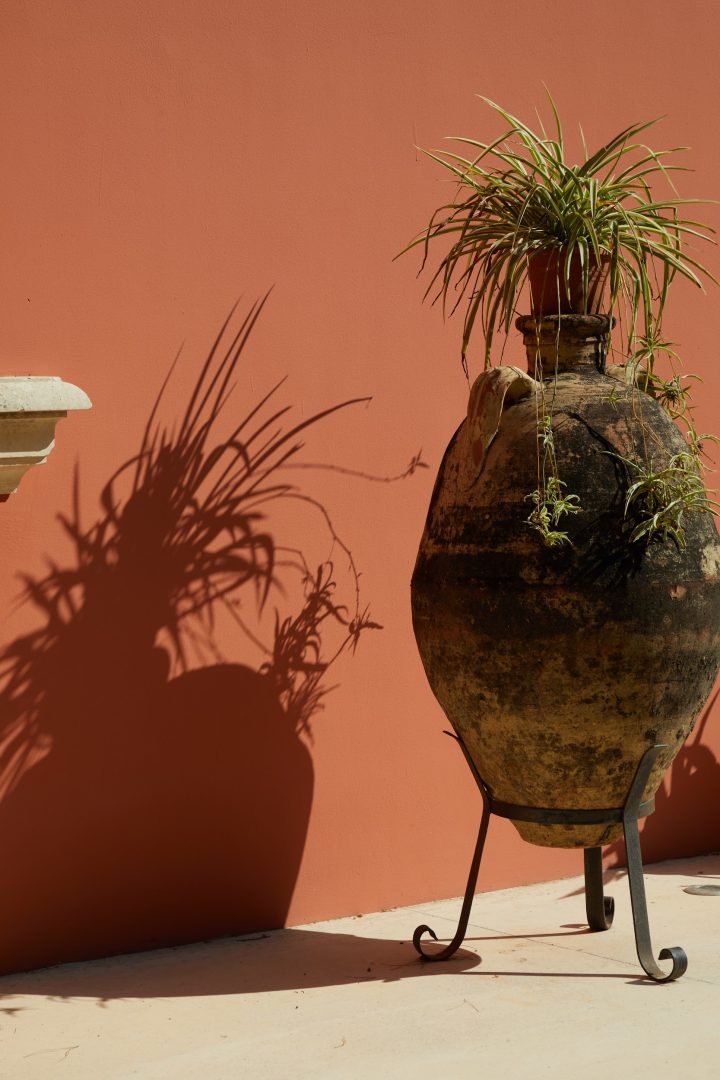 Petra Country House: Nature and Salento Tradition
